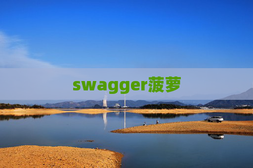 swagger菠萝